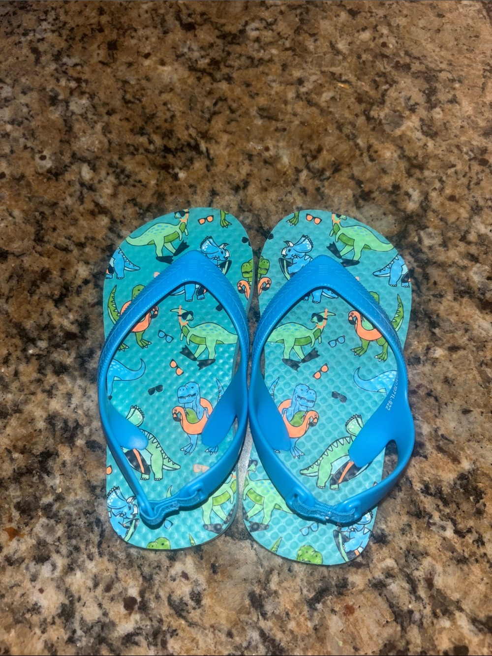 Kids Blue Dino Print Flip Flops